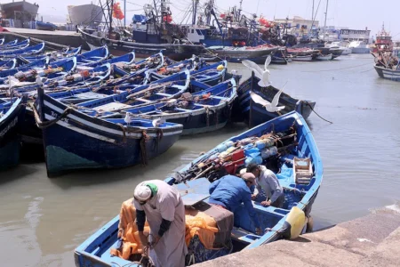 ميناء طرفاية يسجل قفزة في كميات الصيد