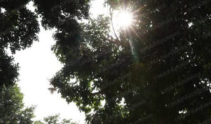 طقس حار وزخات رعدية بالمغرب