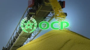 Ocp تحافظ على ربحيتها رغم ضغوط سوق الأسمدة