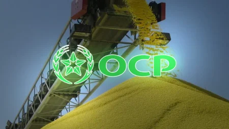 Ocp تحافظ على ربحيتها رغم ضغوط سوق الأسمدة