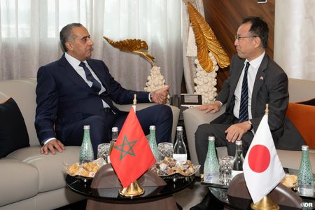 حموشي يبحث تعزيز التعاون الأمني مع اليابان