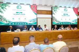 ندوة بالرباط تبحث تحديات حماية الغابات المغربية