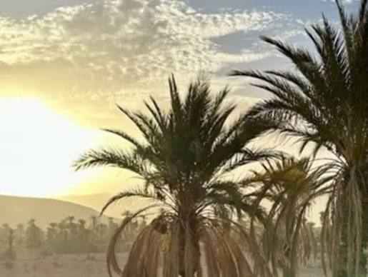 توقعات طقس اليوم الأحد بالمغرب توقعات طقس اليوم الأحد بالمغرب