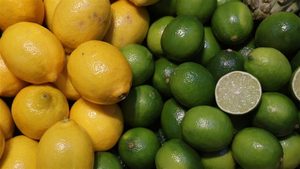 الليمون المغربي يحقق اختراقاً قياسياً في السوق الإسبانية