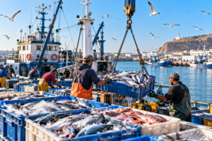 ارتفاع مفرغات الصيد البحري بميناء لمهيريز بـ42%