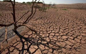 إفران.. خبراء من 10 دول يبحثون سبل تعزيز قدرة الغابات على التكيف مع التغيرات المناخية