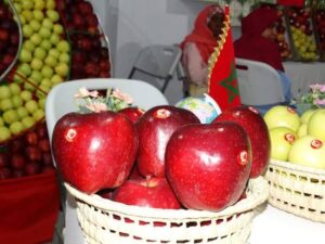 المغرب يتوقع إنتاج مليون طن من التفاح خلال سنة 2026