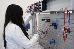 اليوم الوطني للمرأة.. مكاسب متراكمة وتحديات مستمرة