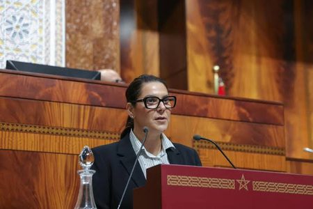 حقوقيون يدعون إلى ضمانات عملية لتنفيذ التزامات الحكومة في مجال الحريات حقوقيون يدعون إلى ضمانات عملية لتنفيذ التزامات الحكومة في مجال الحريات