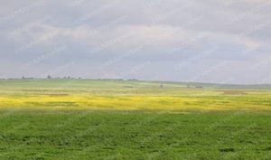 زخات رعدية وضباب مرتقب بعدد من مناطق المغرب