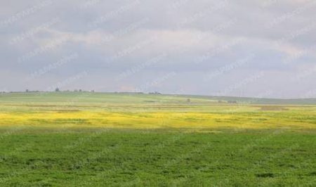 زخات رعدية وضباب مرتقب بعدد من مناطق المغرب