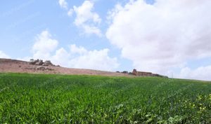 زخات رعدية غزيرة ورياح قوية بعدد من مناطق المغرب اليوم الثلاثاء