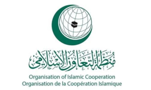منظمة التعاون الإسلامي تثمن المبادرات المغربية لتعزيز التعاون والتنمية بإفريقيا
